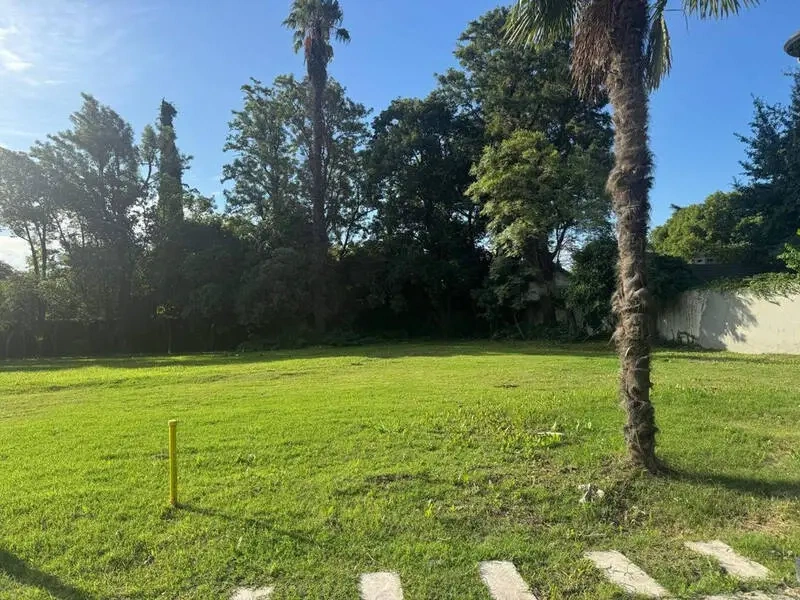 Lote 1.webp